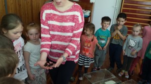 20160519_113726