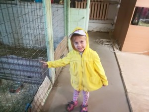 IMG_20180522_102700