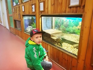 IMG_20180522_105400_1