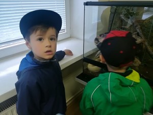 IMG_20180522_105501