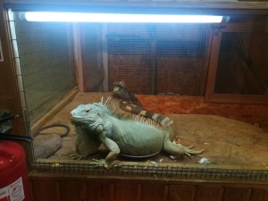 IMG_20180522_110227
